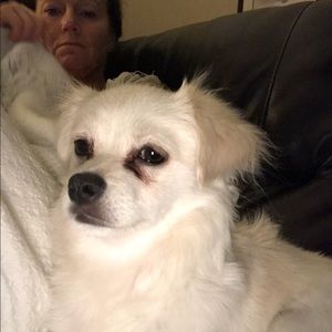 Meet your Posher, Regina